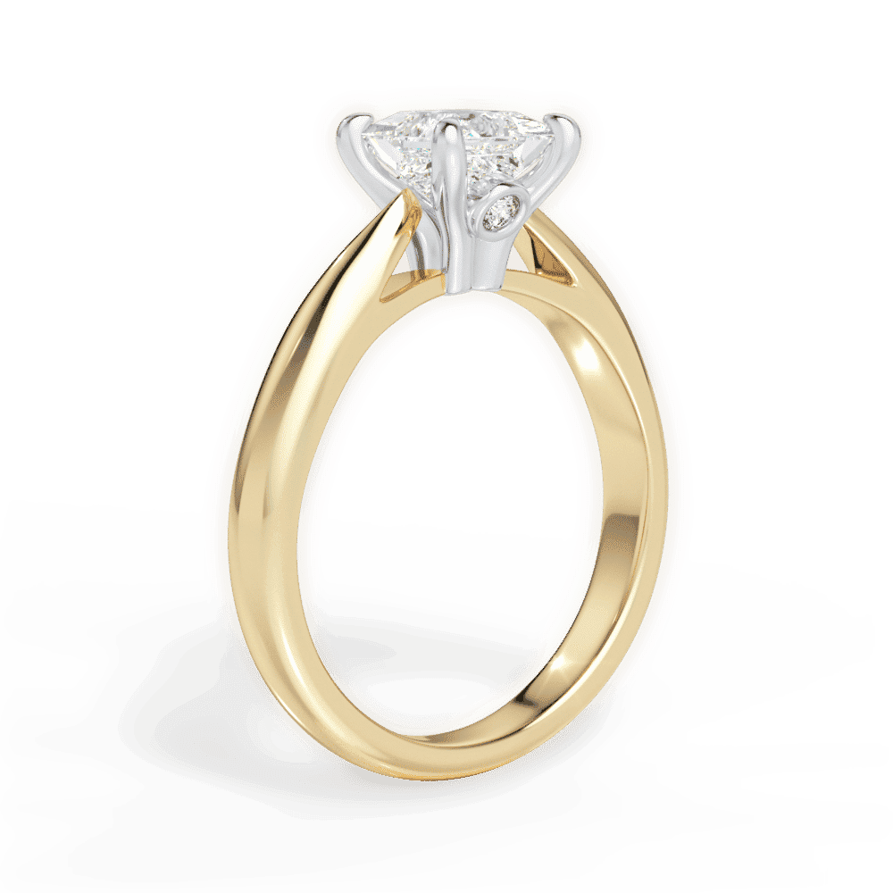 14kt Yellow Gold/18kt Yellow Gold/princess/front