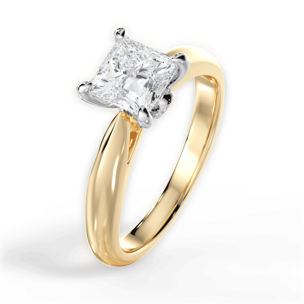 14kt Yellow Gold/18kt Yellow Gold/princess/perspective