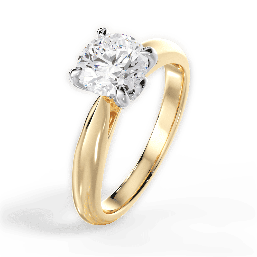 14kt Yellow Gold/18kt Yellow Gold/round/perspective