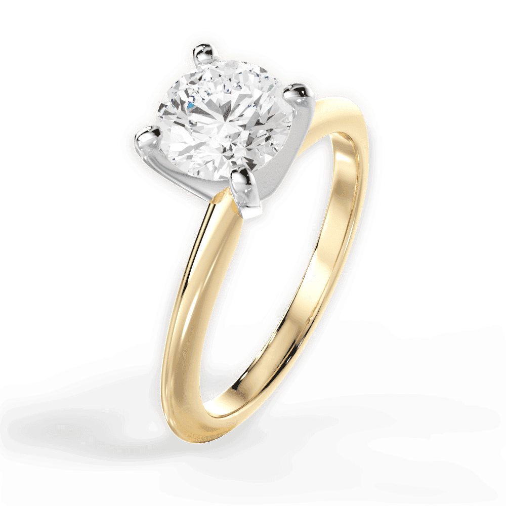 14kt Yellow Gold/18kt Yellow Gold/round/perspective