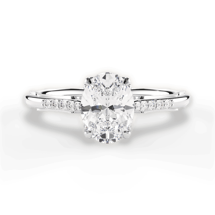 14kt White Gold/18kt White Gold/Platinum/oval/top sku 1OZ2841