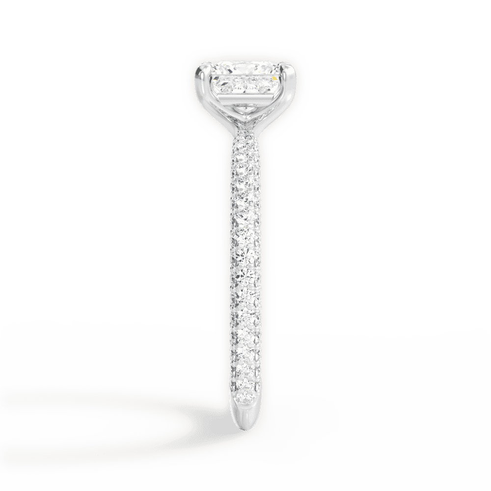 14kt White Gold/18kt White Gold/Platinum/princess/perspective