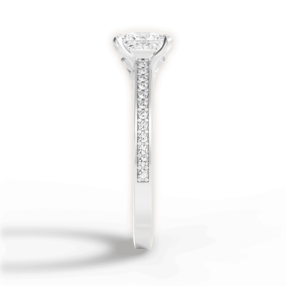 14kt White Gold/18kt White Gold/Platinum/princess/perspective
