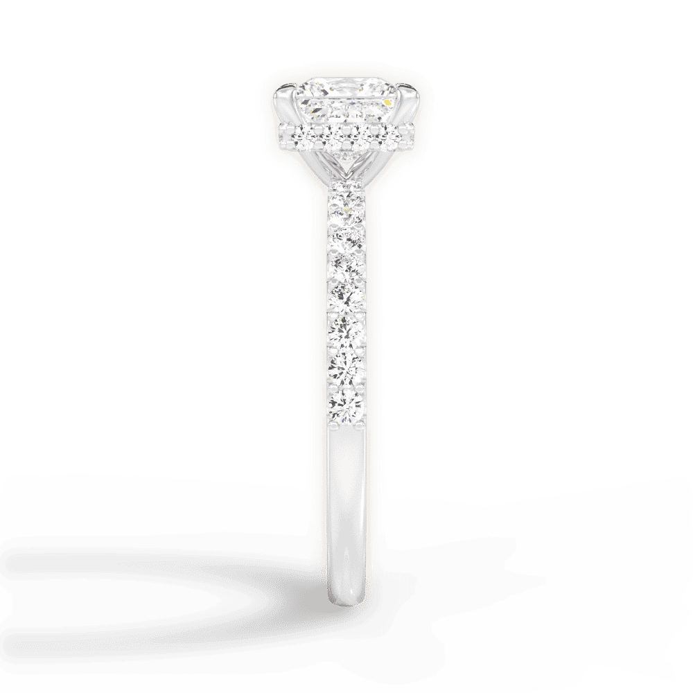 14kt White Gold/18kt White Gold/Platinum/princess/perspective