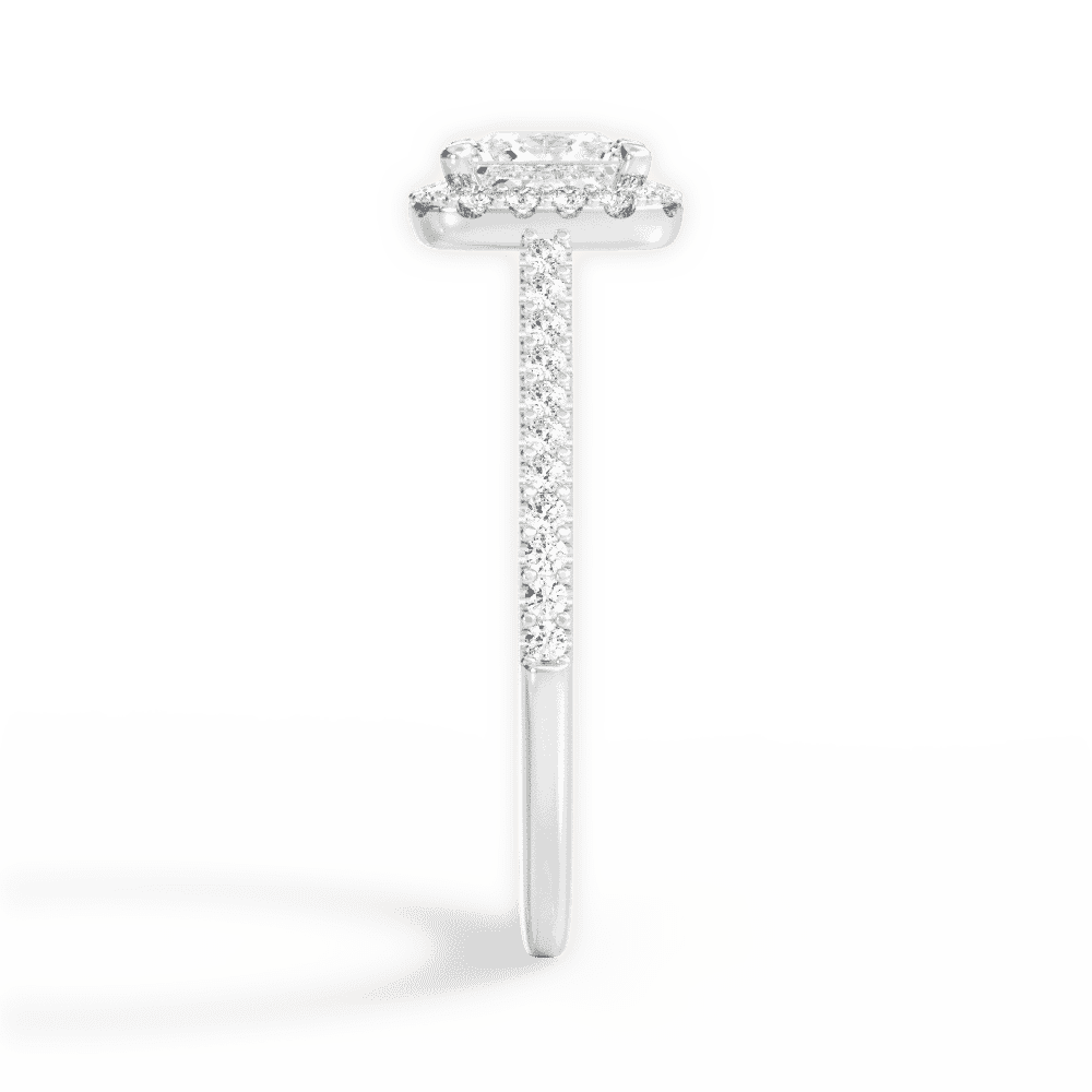 14kt White Gold/18kt White Gold/Platinum/princess/perspective