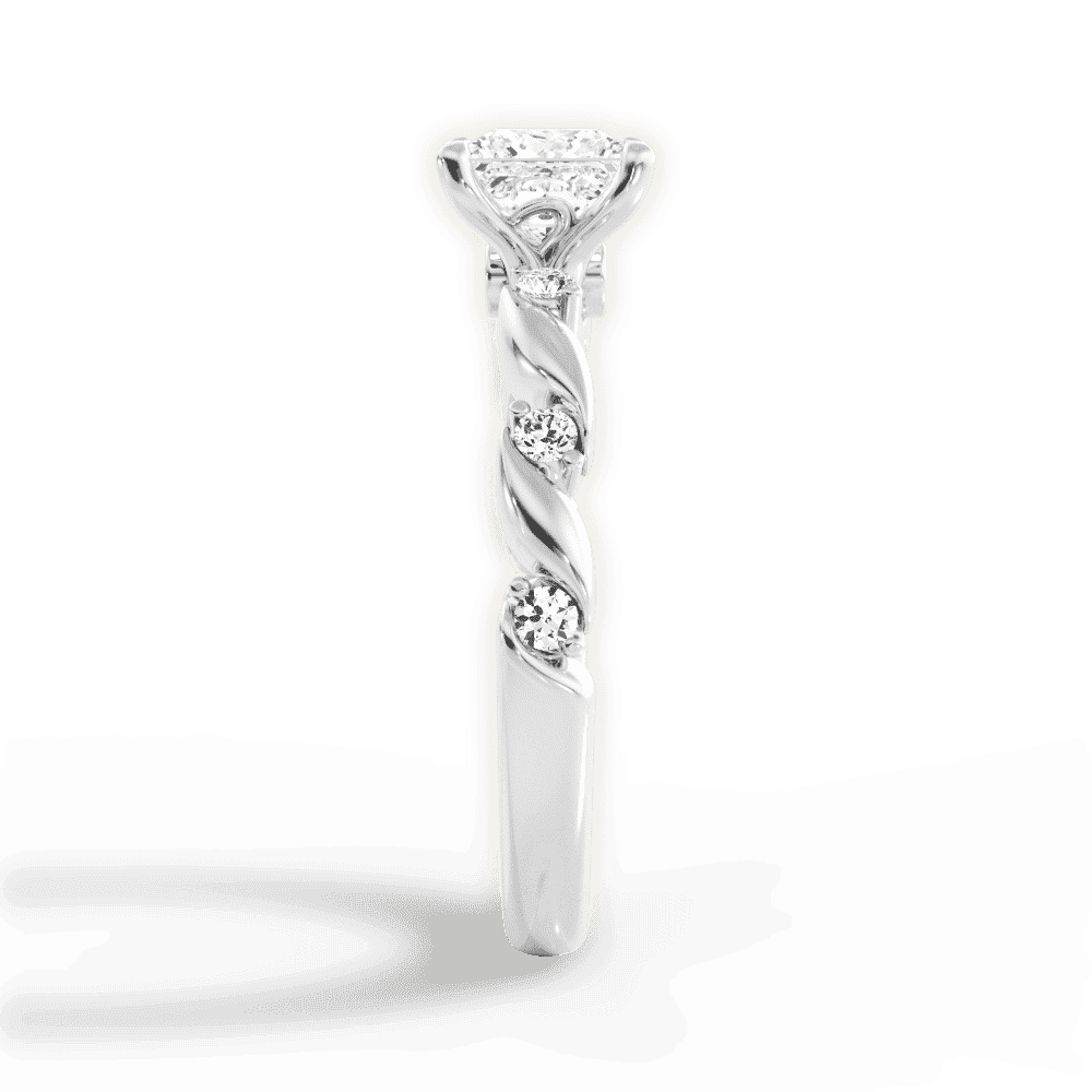 14kt White Gold/18kt White Gold/Platinum/princess/perspective