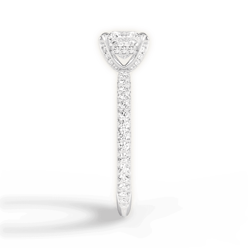 14kt White Gold/18kt White Gold/Platinum/princess/perspective