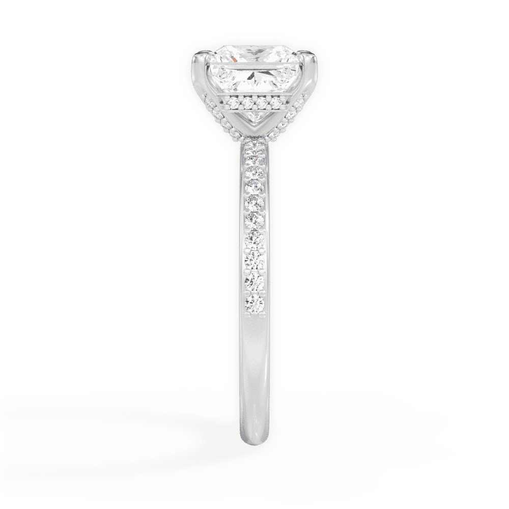 14kt White Gold/18kt White Gold/Platinum/princess/perspective