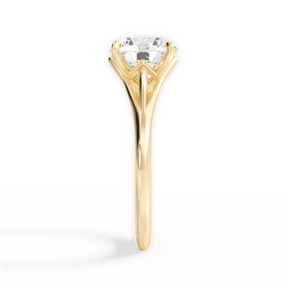 14kt Yellow Gold/18kt Yellow Gold/round/perspective