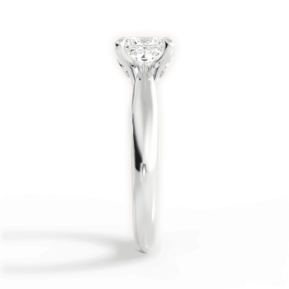 14kt White Gold/18kt White Gold/Platinum/princess/perspective