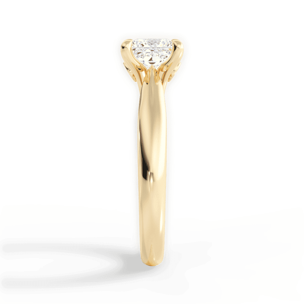 14kt Yellow Gold/18kt Yellow Gold/princess/perspective