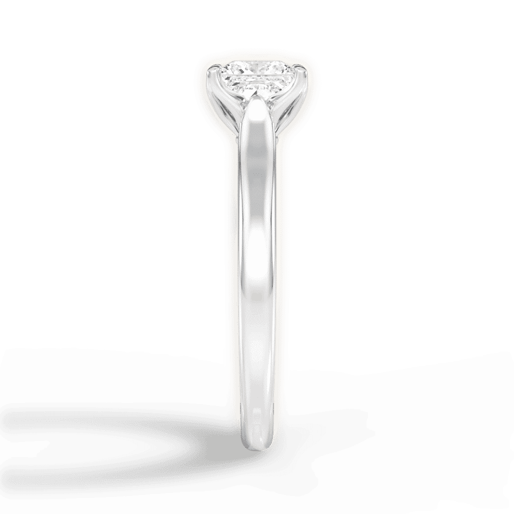 14kt White Gold/18kt White Gold/Platinum/princess/perspective