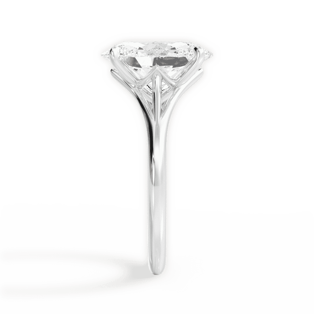 14kt White Gold/18kt White Gold/Platinum/oval/perspective