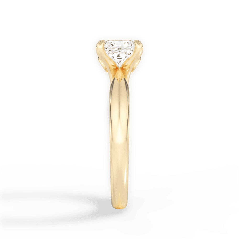 14kt Yellow Gold/18kt Yellow Gold/princess/perspective