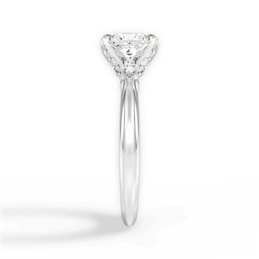 14kt White Gold/18kt White Gold/Platinum/princess/perspective