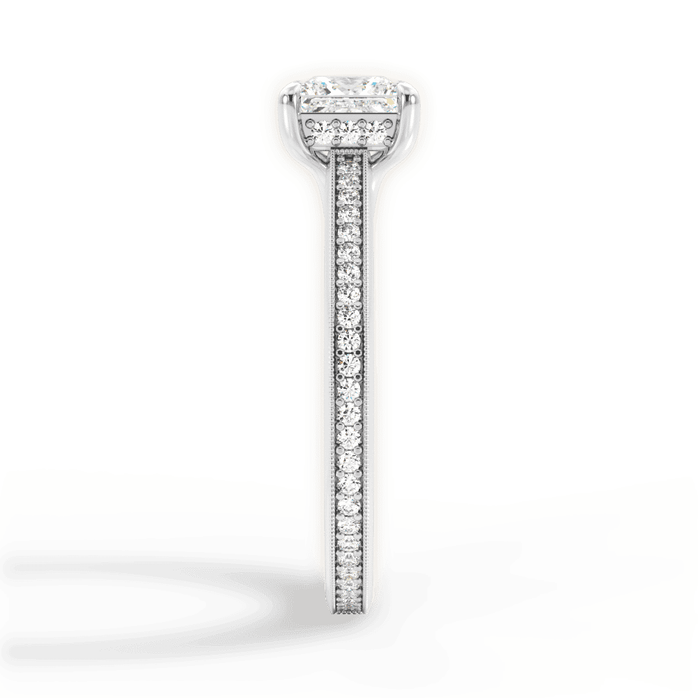 14kt White Gold/18kt White Gold/Platinum/princess/perspective