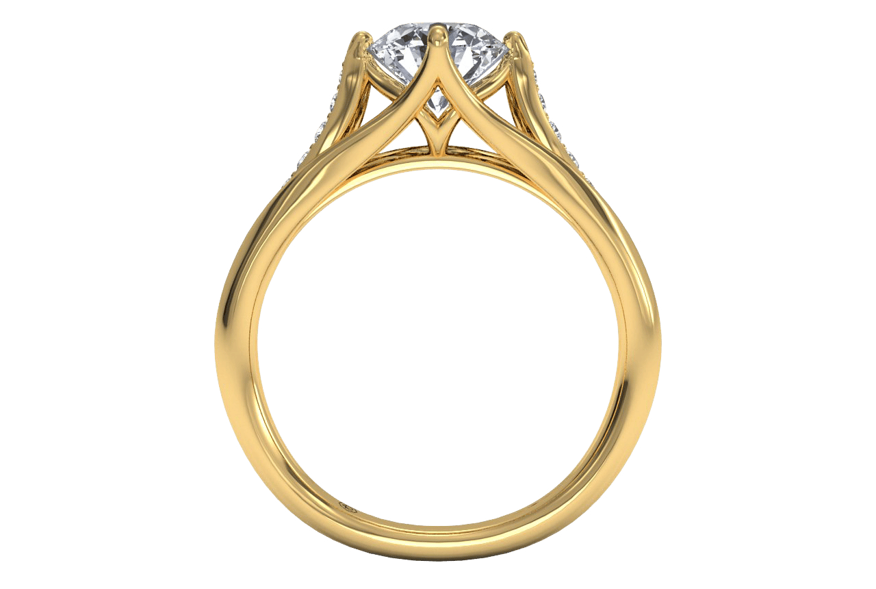 18kt yellow gold/round/front
