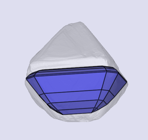 sarine