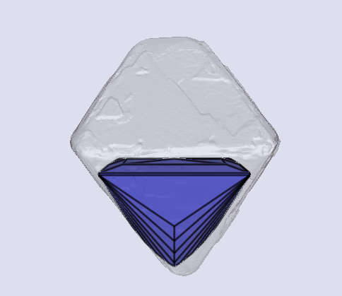 sarine