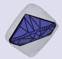 sarine