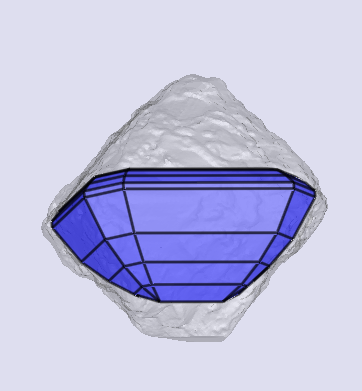 sarine