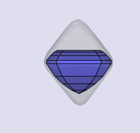 sarine