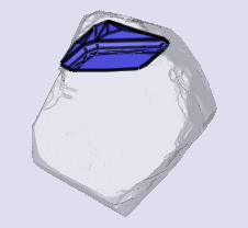 sarine