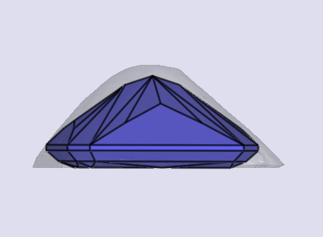 sarine