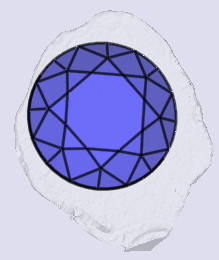 sarine