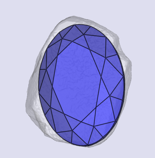 sarine