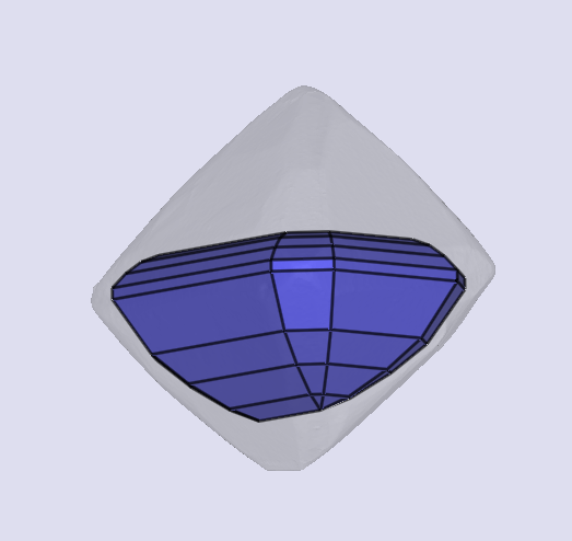 sarine