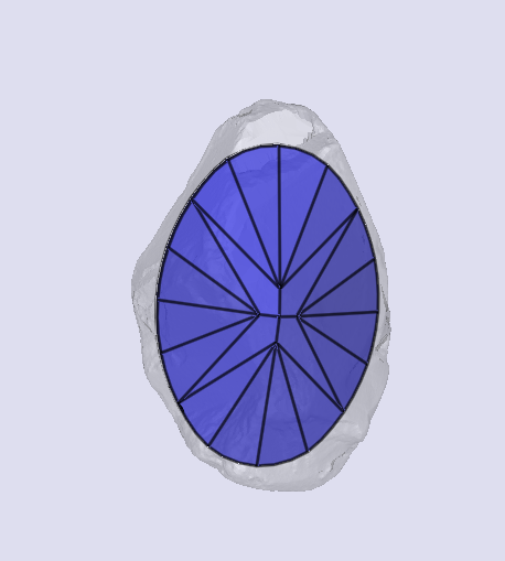 sarine