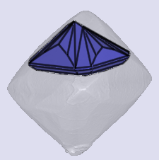 sarine