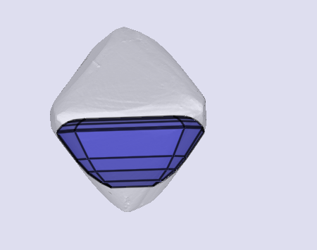 sarine