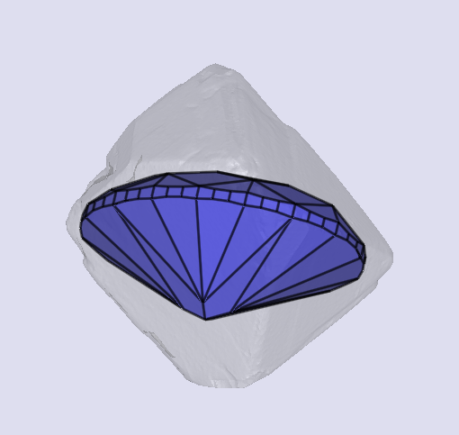 sarine