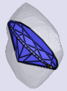 sarine