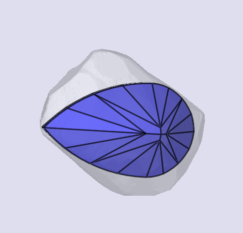sarine