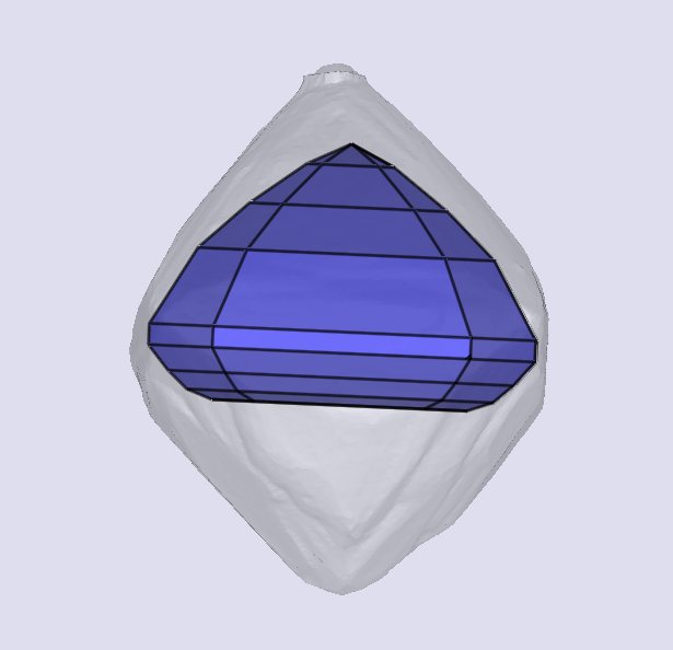sarine