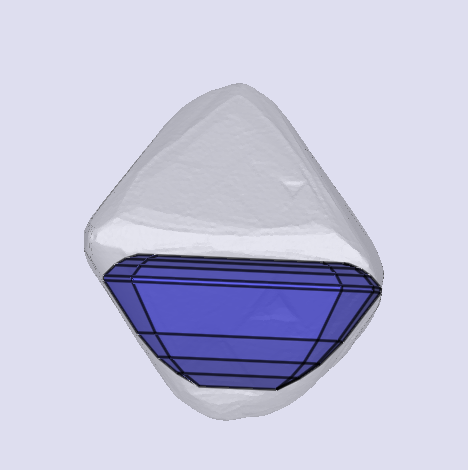 sarine