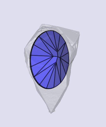 sarine