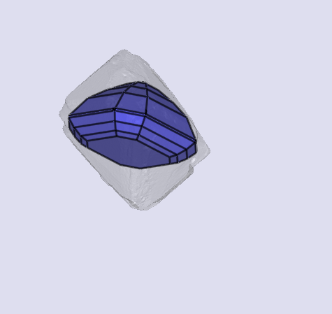 sarine