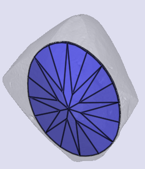 sarine