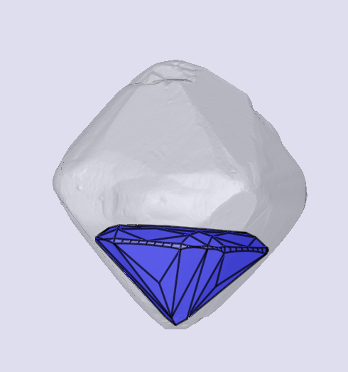 sarine