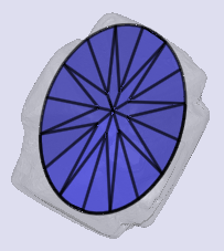 sarine