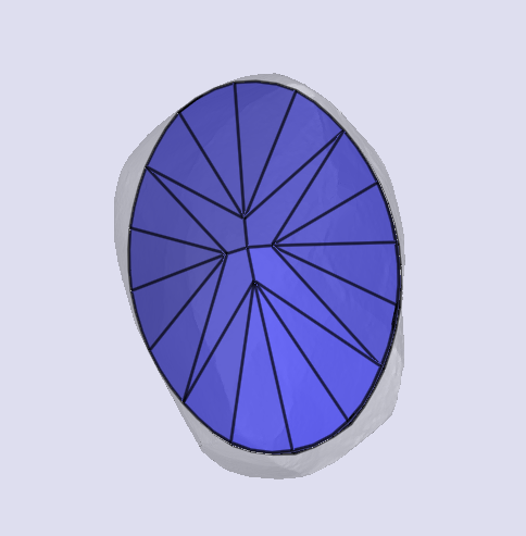 sarine