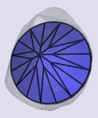 sarine