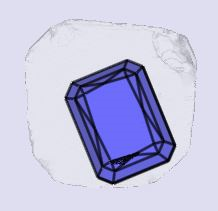 sarine