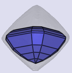 sarine
