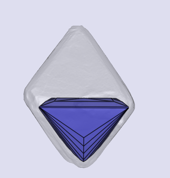 sarine