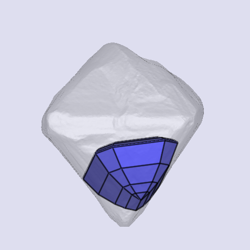 sarine